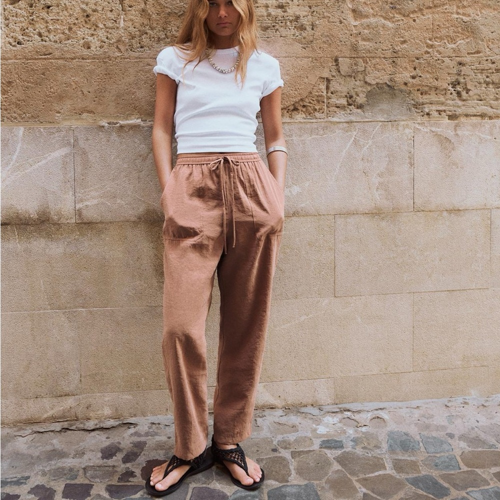 Zara Flowy Ankle Pants in Brick